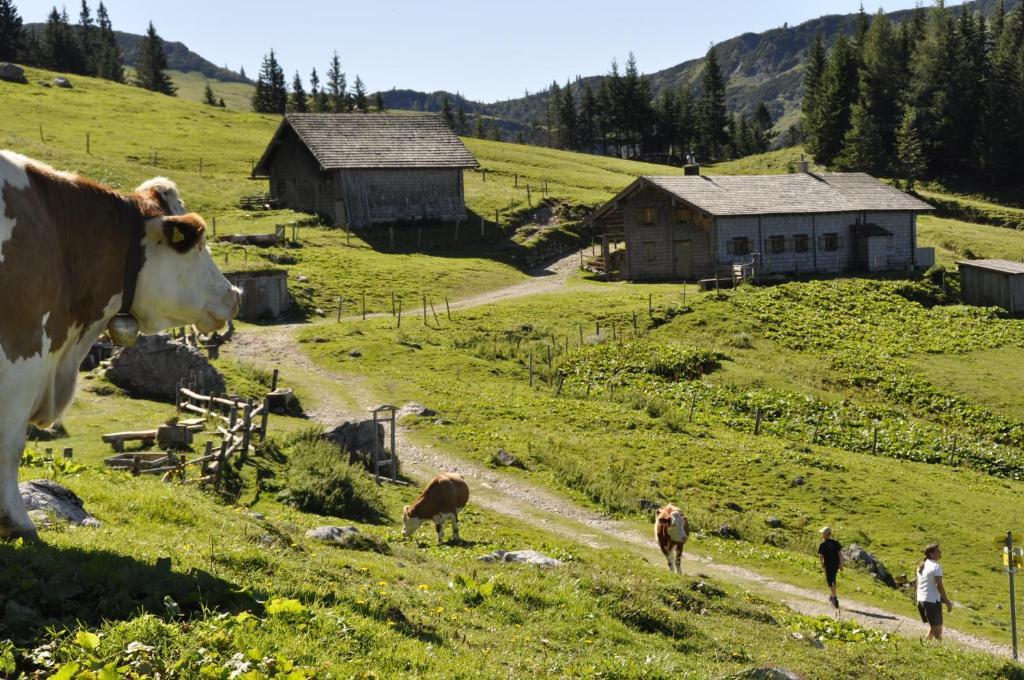 Landhaus Koller Hotel Gosau Exterior photo